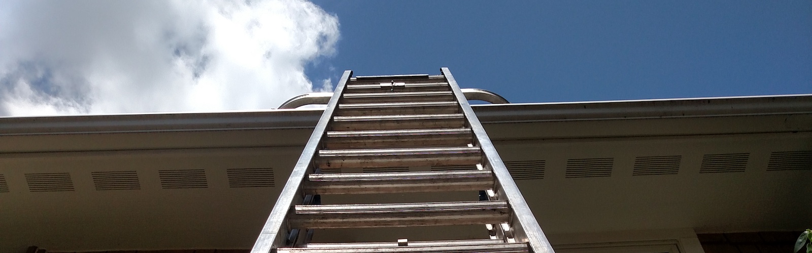 high ladder services